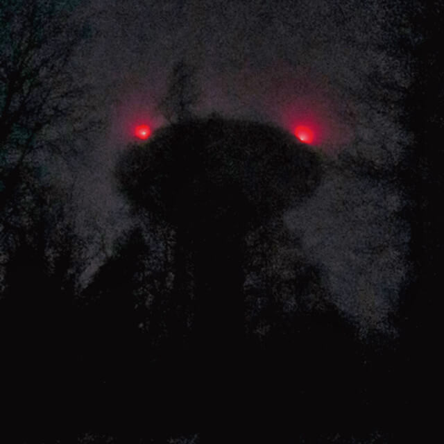Onni Rajamäki – Pois häviää kaikki
